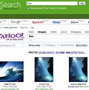Image result for How to Search Web Using a Photo