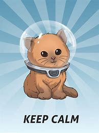 Image result for Keep Calm Cat