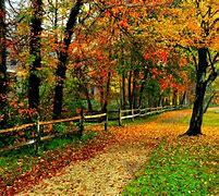 Image result for Fall Colors Wallpaper