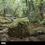 Image result for Afon River