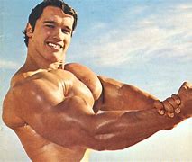 Image result for Arnold Bodybuilding Wallpaper