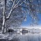 Image result for Background Images for Portfolio Winter Theme