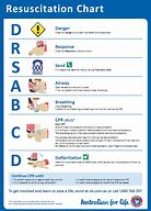 Image result for CPR Flow Chart Veterinary