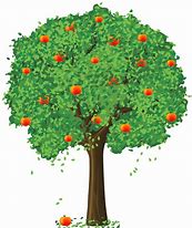 Image result for Clip Art of Apple Tree