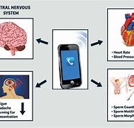 Image result for Cell Phone Radiation Effects