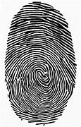 Image result for Stylized Fingerprint