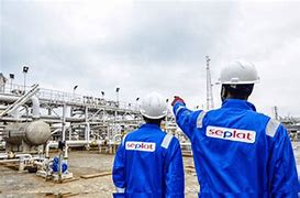 Image result for Seplat Petroleum