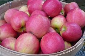 Image result for White and Pink Apple