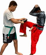 Image result for Teenagers Karate Fight