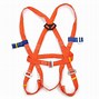 Image result for Safety Belt and Harness