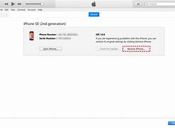 Image result for How to Restore iPhone SE When Disabled