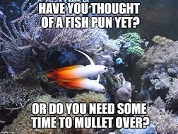 Image result for Fish Joke Meme