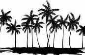 Image result for Palm Tree Silhouette Realistic