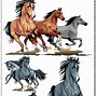 Image result for Cartoon Horse Herd