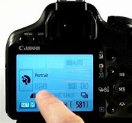 Image result for Portrait Mode On Canon Camera