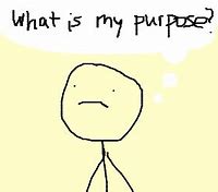 Image result for What Is My Purpose in Life Meme