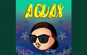 Image result for aguazk