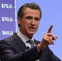 Image result for Governor Gavin Newsom Bobblehead