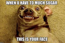 Image result for Sugar Addiction Meme