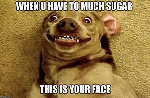 Image result for Sugar Dog Meme