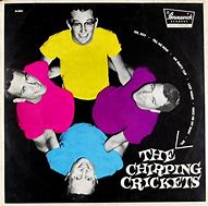 Image result for Chirping Crickets Album