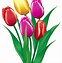 Image result for Flower Bundle ClipArt