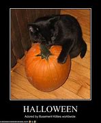 Image result for Halloween Theme Meme