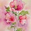 Image result for Pen and Ink Watercolor Flowers