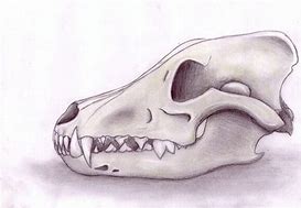 Image result for Anime Wolf Skulls