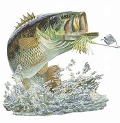 Image result for Fish Hook Artwork