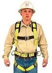 Image result for Body Harness Hanging Point Store G