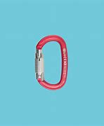 Image result for CE0123 Oval Carabiner