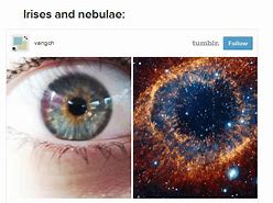 Image result for Human Body and Universe Similarities