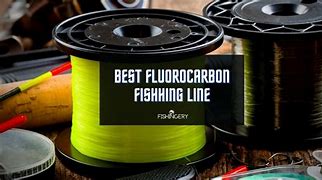 Image result for Brown Fluorocarbon Fishing Line
