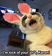 Image result for Karen Cat Memes Funny