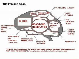 Image result for The Female Brain Meme Generator