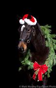 Image result for Happy Holidays Horse