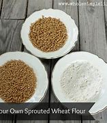 Image result for Sprouted Wheat Flour