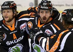 Image result for grizzly_adams_wolfsburg