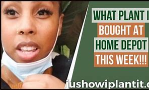 Image result for Big Box Store Online Shopping