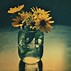 Image result for Vase Still Life Photography