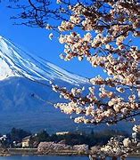 Image result for Cool Places to Visit in Tokyo Japan