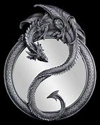 Image result for Infinity Mirror Dragon