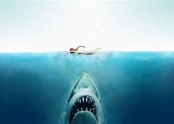 Image result for Jaws Beach Wallpaper