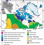 Image result for North America Vegetation Map