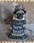 Image result for Happy New Year Chihuahua