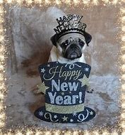 Image result for Funny Happy New Year Bunnies
