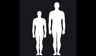 Image result for 5'2 Compared to 6'0