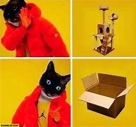 Image result for Cat Toy Meme