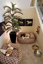 Image result for Cute Dog Room Ideas